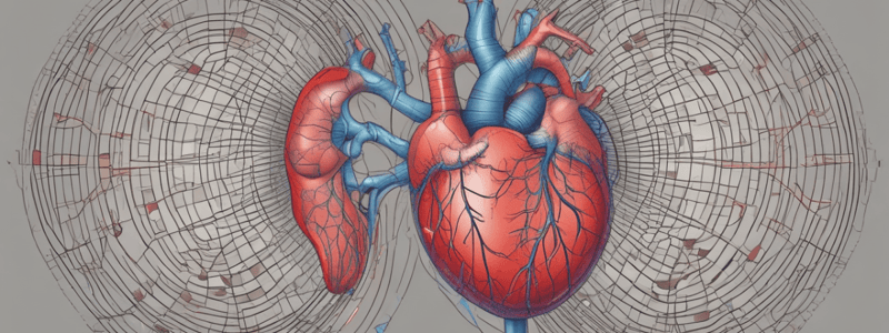 Understanding the Cardiac Cycle: Diastole, Contraction, and Relaxation