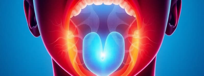 Saliva and Salivary Glands Overview