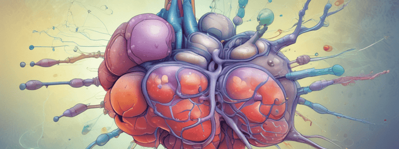 Alkaline Phosphatase Normal Range and Clinical Significance