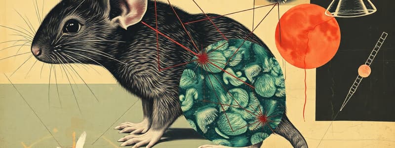 Mice Empathy and Pain Transmission