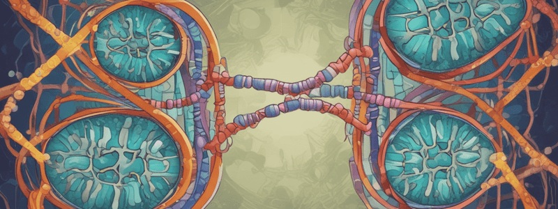 Introns and Gene Expression Regulation