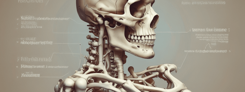 Bone Fracture Types