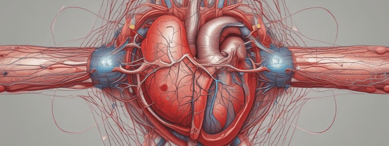 Aging Changes in Cardiac Arterial Systems