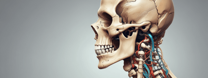 The Temporomandibular Joint Anatomy