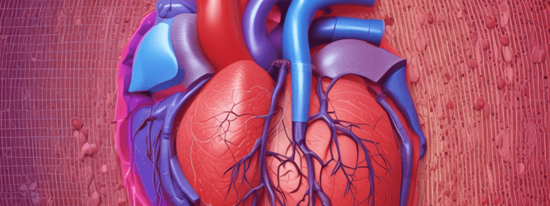 L13 Cardiac Cycle