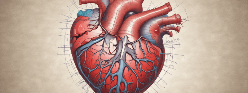 3.1 (2) Anatomy of the Heart: Cardiovascular System for BIOL2220