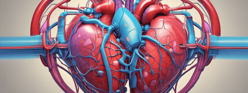 Ch 13 - Part 1 Anatomy of Cardiac Conduction System