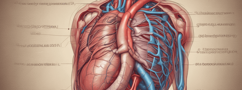 Pericarditis 2