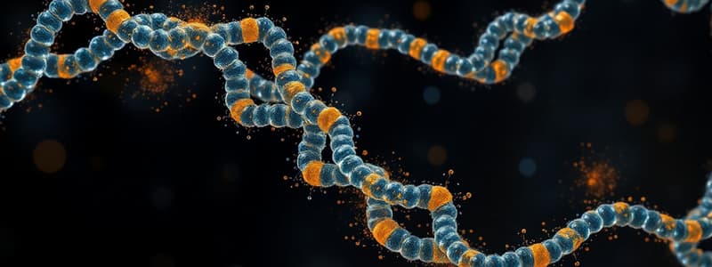 Biochemistry of Nucleic Acids Quiz