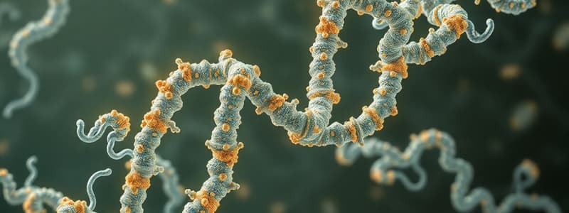 Protein Structure Overview