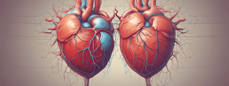 Ventricles Function Parameters