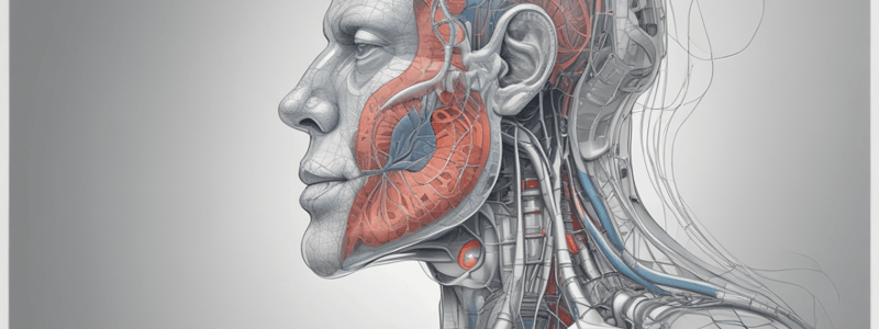 Ventilation Regulation: Carotid Body Cells