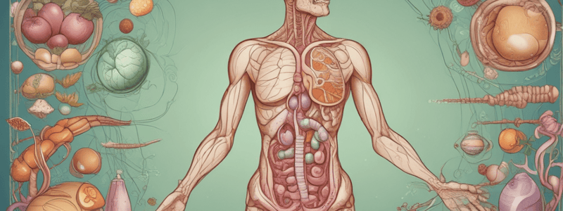 Protein Digestion and Nitrogen Balance