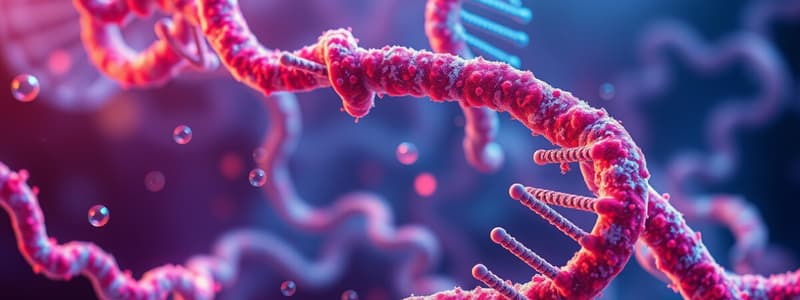 Basic Aspects of Nucleic Acids Quiz