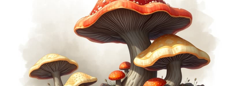 Mycology: Characteristics of Fungi