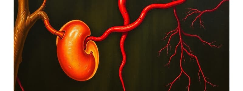 Kidneys Week 7 Study Guide