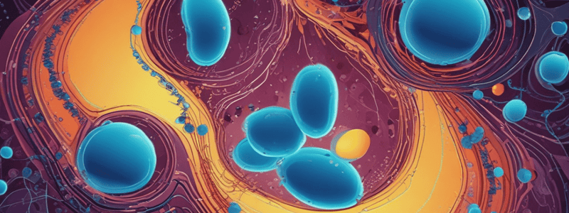 Types of Electrolytes and Potassium Function