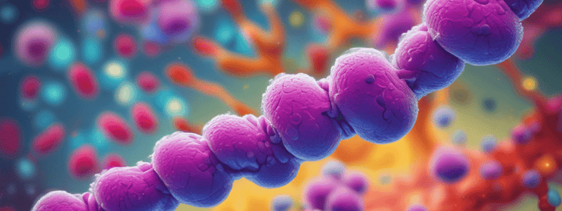 Hormones Classification Based on Chemical Nature