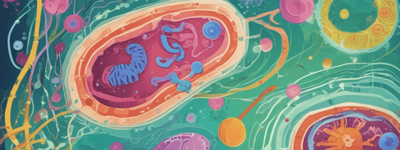 Biology Quiz: Gram-Positive and Gram-Negative Bacteria