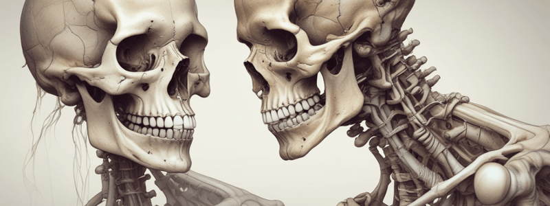 Bone Formation and Ossification