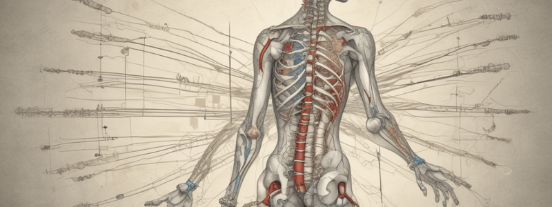 Spinal Cord Injuries (SCIs) - BMS