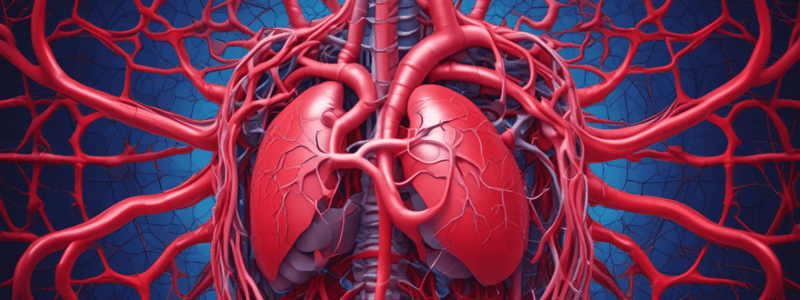 Circulatory System Overview