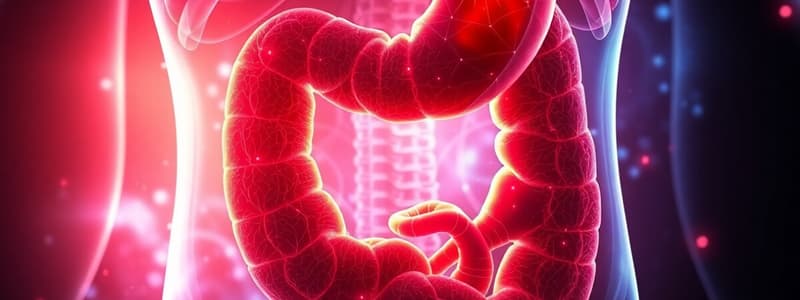 Digestive System Overview Quiz