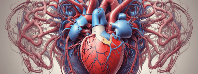 Heart Valves and Blood Circulation