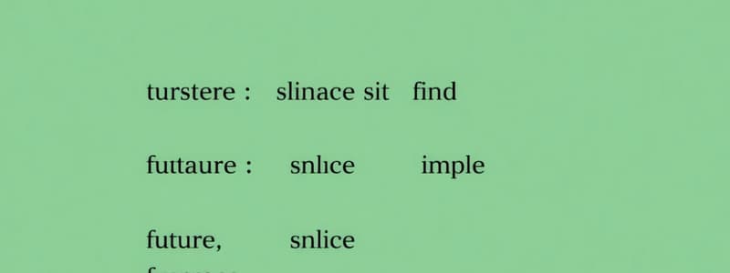 Future Simple Tense Quiz