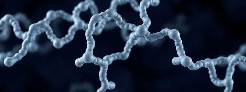 Amino Acids and Protein Structure Quiz