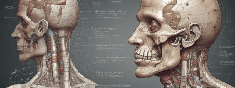 Biology ESP001: Body Tissue