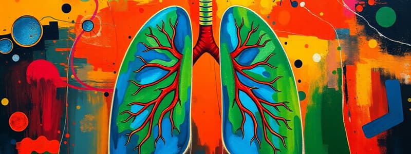 Human Respiratory System and Respiration