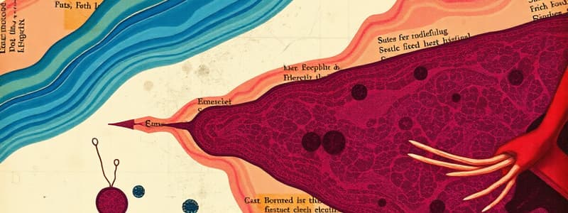 Epithelial Tissue