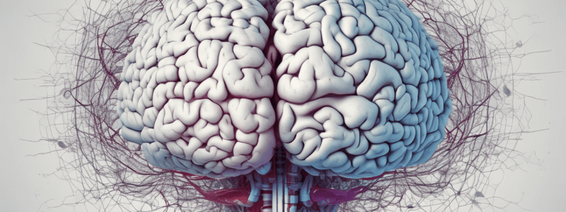 Cross-task specificity and within-task invariance of cognitive control processes (Xiao et al., 2023)