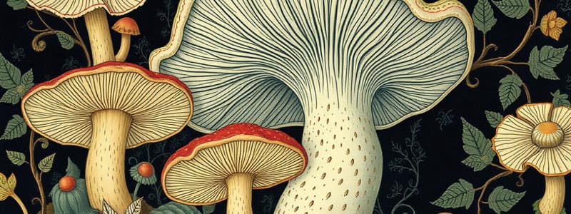 Mycology Characteristics Quiz