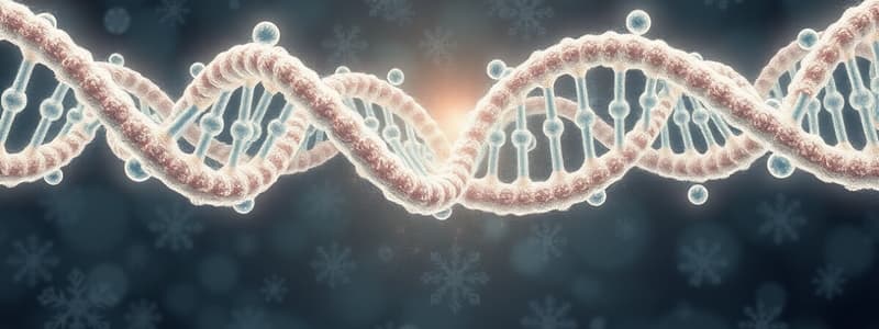 Chromosome Structure and Cell Cycle