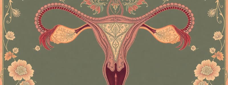 Female Reproductive System Overview