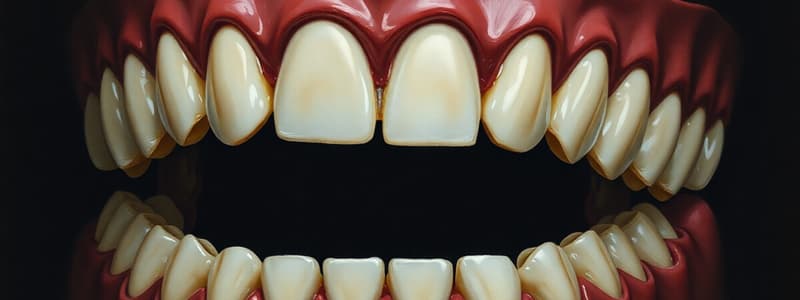 Removable Partial Denture Connectors