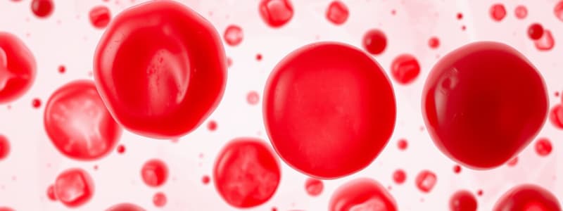 Blood Cells and Blood Types Quiz