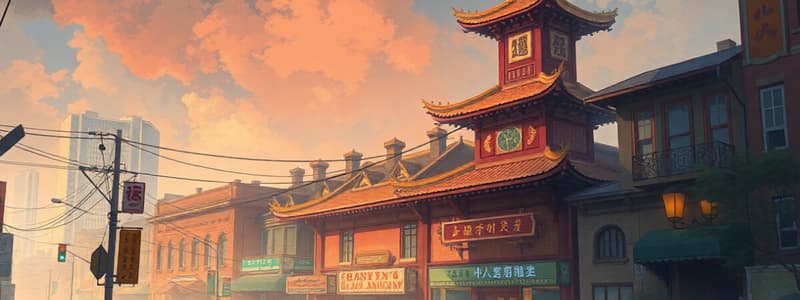 Chinatown's Aesthetic and History