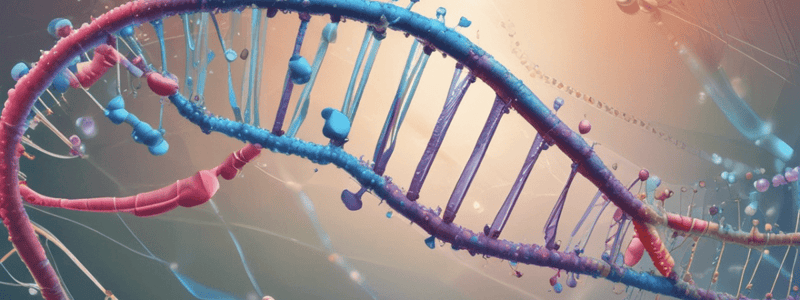 Biology Finals Review: DNA Sequence