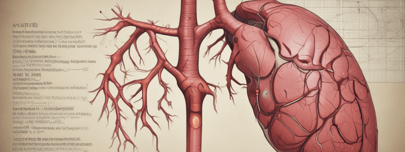 Lóbulo de Riedel: Anatomía y Prevalencia