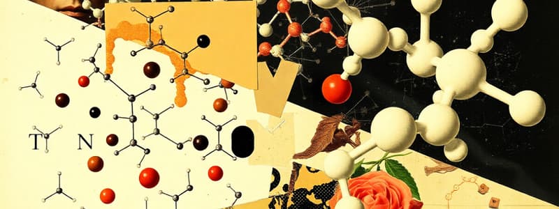 Biological Macromolecules Overview