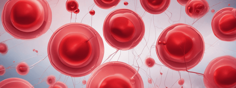 Blood Component Manufacture: Red Blood Cells