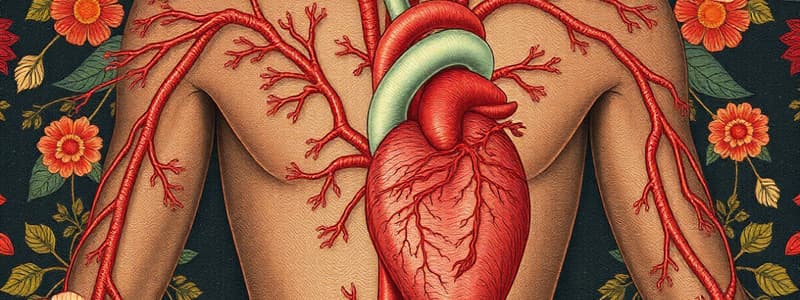 Cardiovascular System Overview