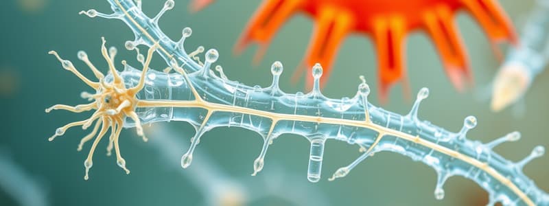 Microbiology Overview and Taxonomy