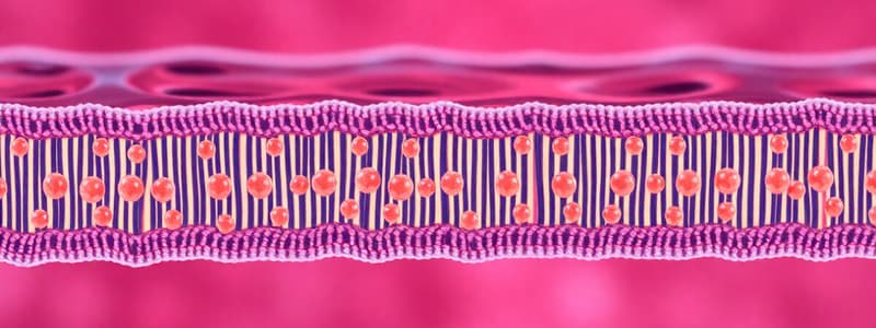 1. Cell Membrane Structure and Function