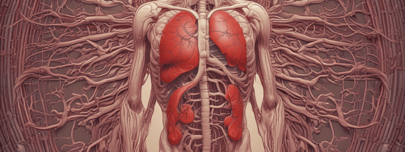 Blood Circulation and Oxygenation