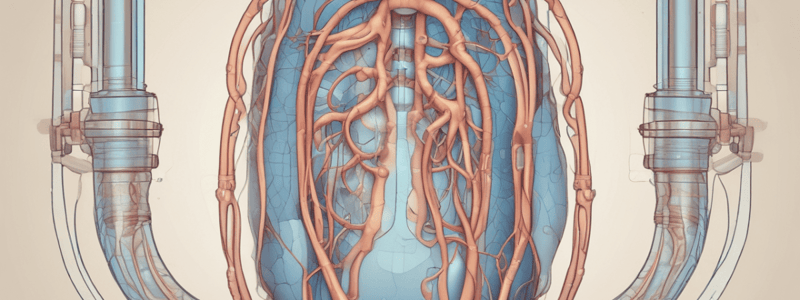 Urinary System: Filtration and Dehydration