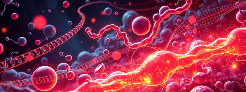 Overview of Carbohydrate Metabolism